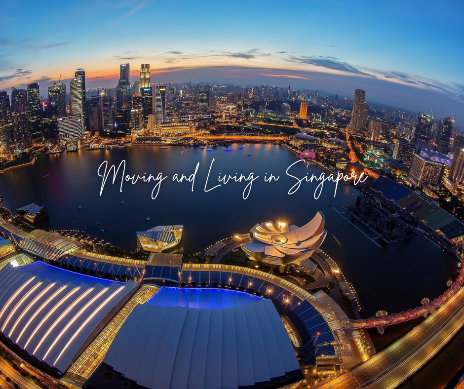 The Expat's Guide : Moving and Living in Singapore